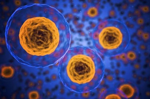 Kilo verme süreci nasıl gerçekleşir